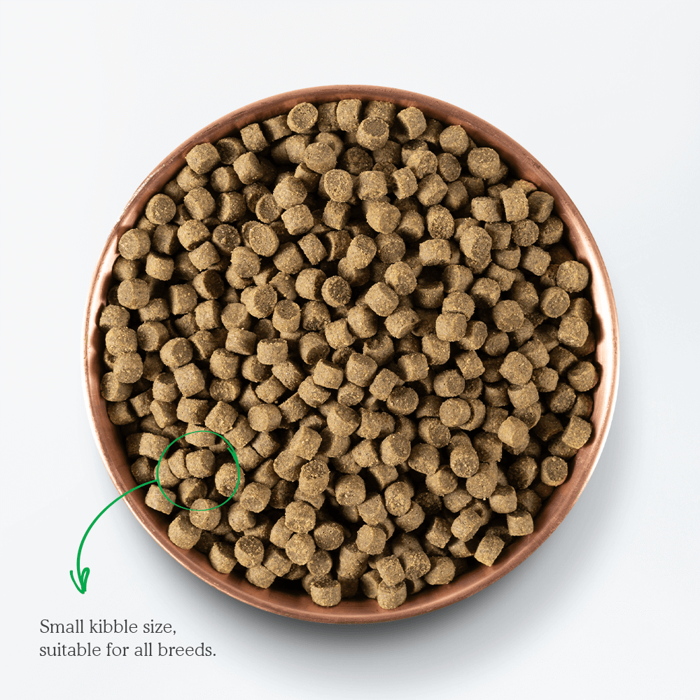 Open Farm - Catch of the Season Whitefish & Ancient Grains (Dry Dog Food)